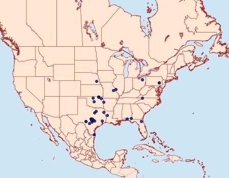 Distribution Data for Metalectra diabolica