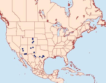 Distribution Data for Metalectra miserulata