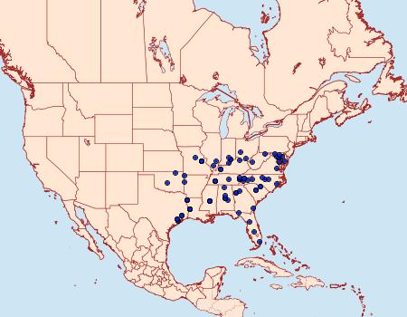 Distribution Data for Arugisa lutea