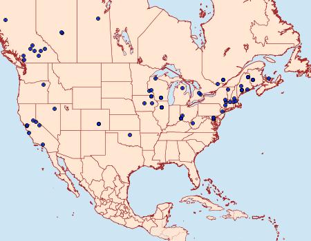 Distribution Data for Phyllocnistis populiella