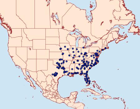 Distribution Data for Phyprosopus callitrichoides