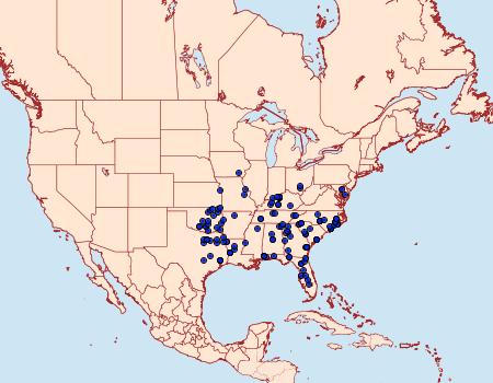 Distribution Data for Hypsoropha monilis