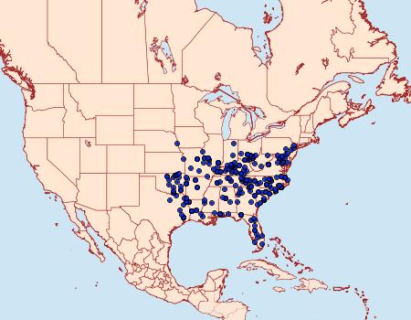 Distribution Data for Hypsoropha hormos