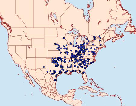 Distribution Data for Plusiodonta compressipalpis