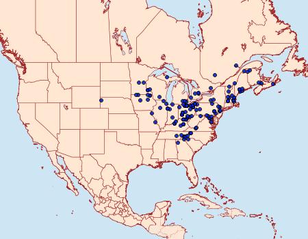 Distribution Data for Calyptra canadensis