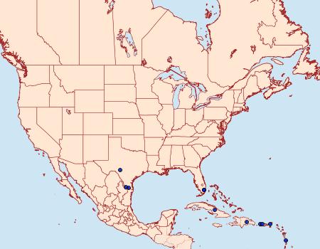 Distribution Data for Gonodonta bidens