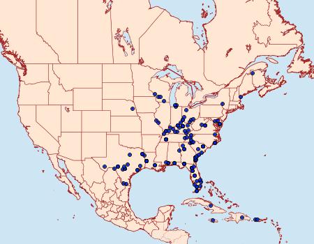 Distribution Data for Anomis erosa