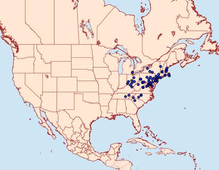 Distribution Data for Rusicada privata