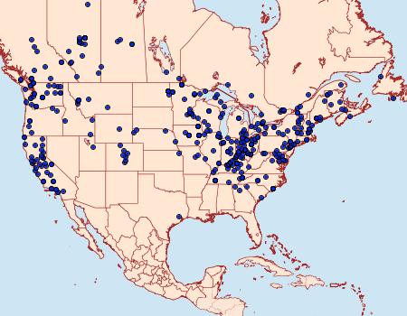 Distribution Data for Scoliopteryx libatrix