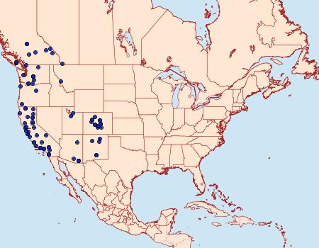 Distribution Data for Lygephila victoria