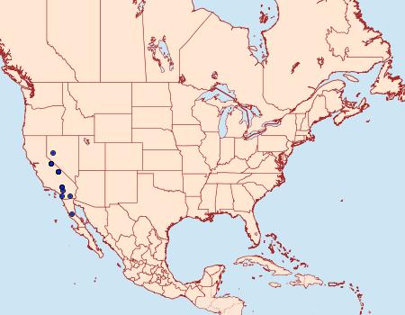 Distribution Data for Euaontia semirufa