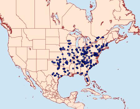 Distribution Data for Panopoda carneicosta