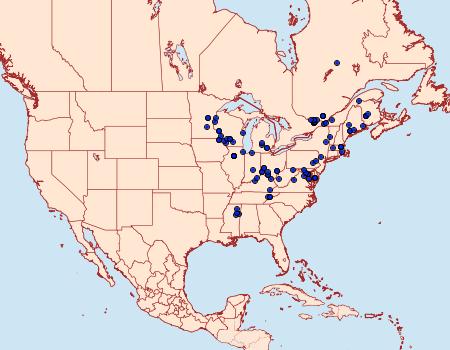 Distribution Data for Agonopterix curvilineella