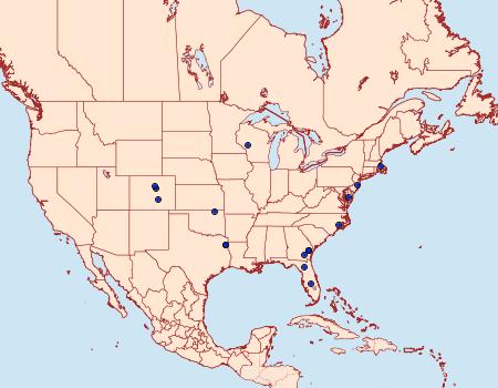 Distribution Data for Phoberia ingenua