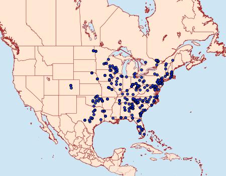 Distribution Data for Phoberia atomaris