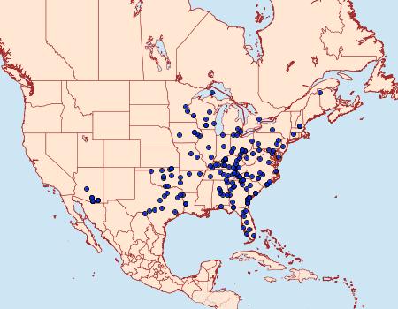 Distribution Data for Cissusa spadix