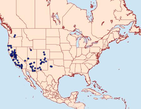 Distribution Data for Litocala sexsignata