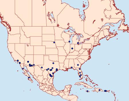 Distribution Data for Melipotis perpendicularis