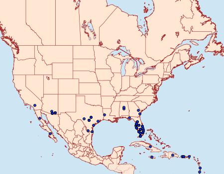 Distribution Data for Melipotis fasciolaris