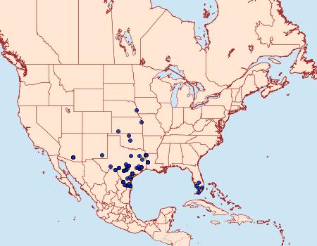 Distribution Data for Melipotis cellaris