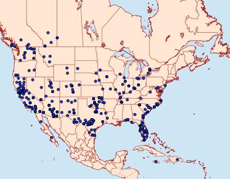 Distribution Data for Melipotis jucunda