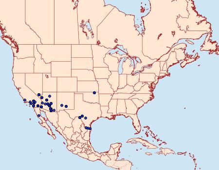 Distribution Data for Forsebia cinis