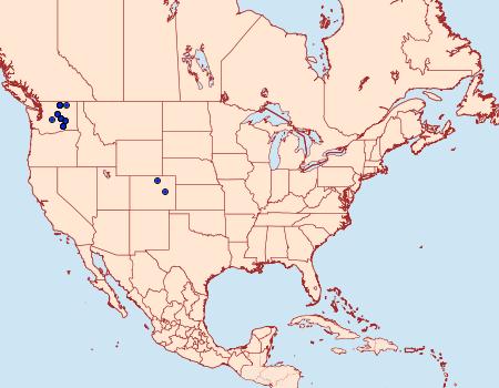 Distribution Data for Drasteria hastingsii