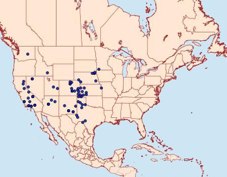 Distribution Data for Drasteria mirifica