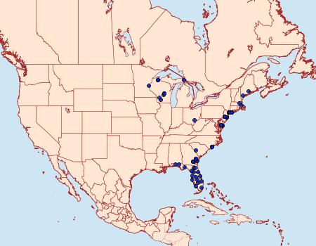 Distribution Data for Drasteria graphica