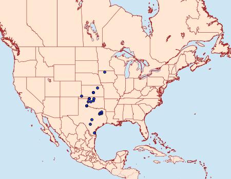 Distribution Data for Drasteria ingeniculata