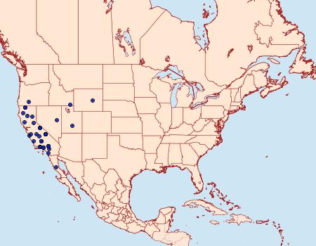 Distribution Data for Drasteria scrupulosa