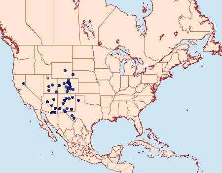 Distribution Data for Drasteria inepta