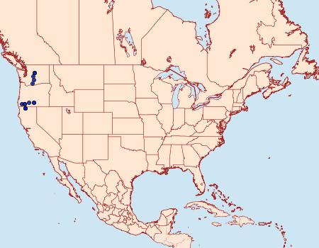 Distribution Data for Drasteria parallela