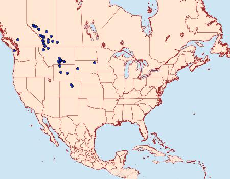 Distribution Data for Drasteria petricola