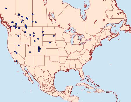 Distribution Data for Drasteria hudsonica