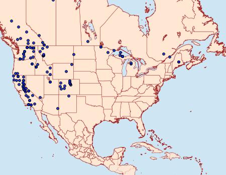 Distribution Data for Drasteria adumbrata