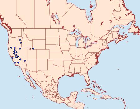 Distribution Data for Drasteria stretchii