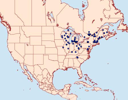 Distribution Data for Agonopterix atrodorsella