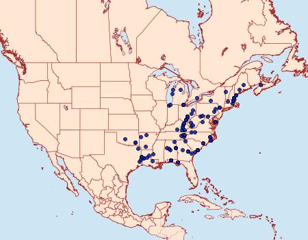 Distribution Data for Drasteria grandirena