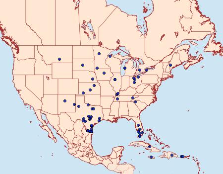 Distribution Data for Thysania zenobia