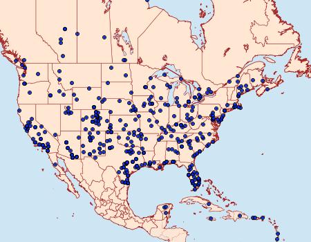 Distribution Data for Ascalapha odorata