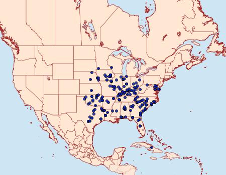 Distribution Data for Lesmone detrahens