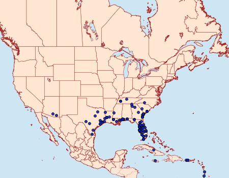 Distribution Data for Selenisa sueroides