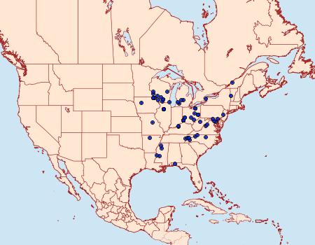 Distribution Data for Agonopterix eupatoriiella