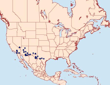 Distribution Data for Toxonprucha volucris