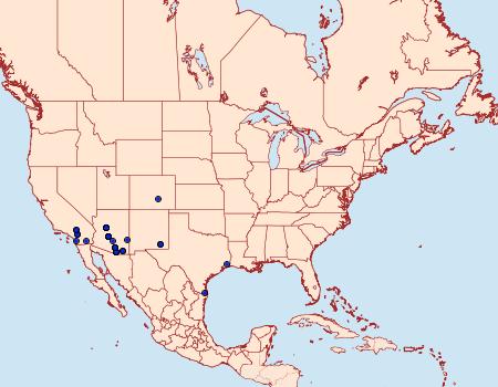 Distribution Data for Toxonprucha repentis