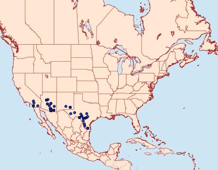 Distribution Data for Toxonprucha crudelis