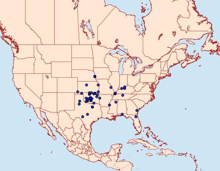 Distribution Data for Matigramma pulverilinea