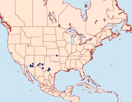 Distribution Data for Matigramma inopinata