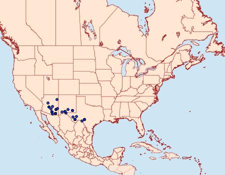 Distribution Data for Matigramma emmilta